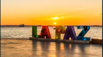 Programa Prioritario de Epilepsia 2026